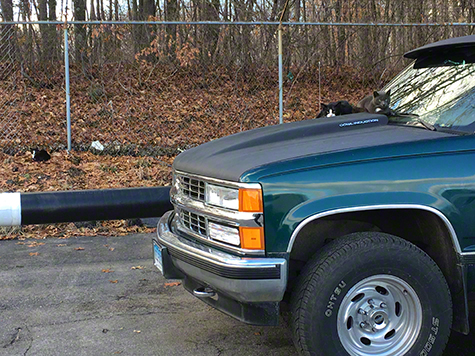 cats on truck r olson.jpg Cats on truck r olson